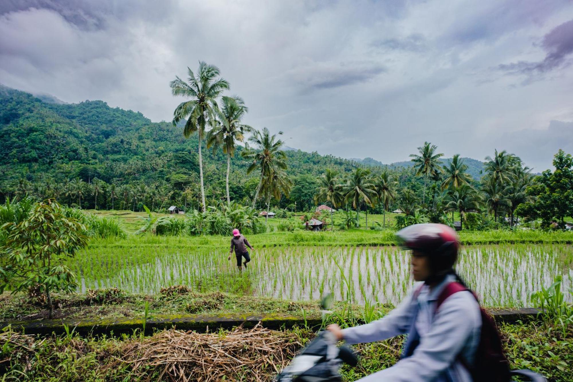 Villa Markisa Pakisan Sawan Luaran gambar