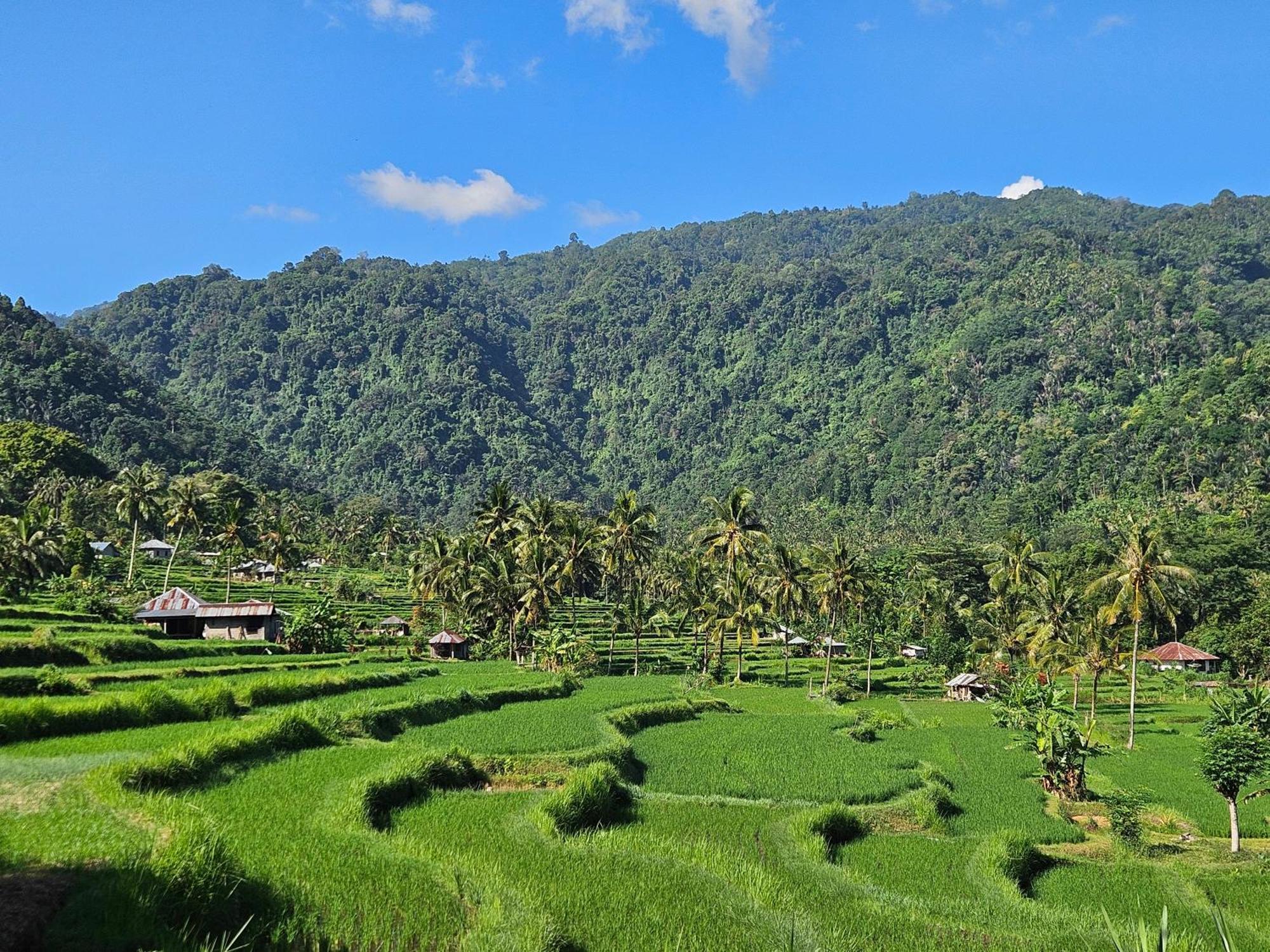 Villa Markisa Pakisan Sawan Luaran gambar