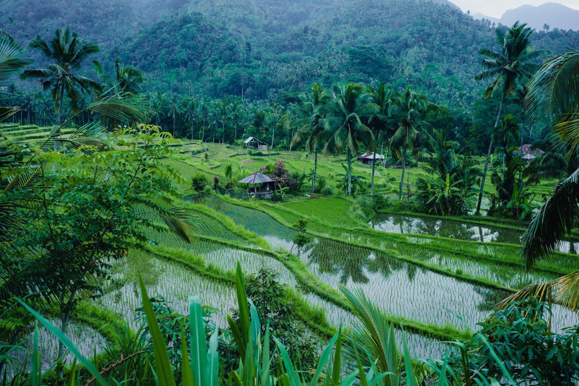 Villa Markisa Pakisan Sawan Luaran gambar