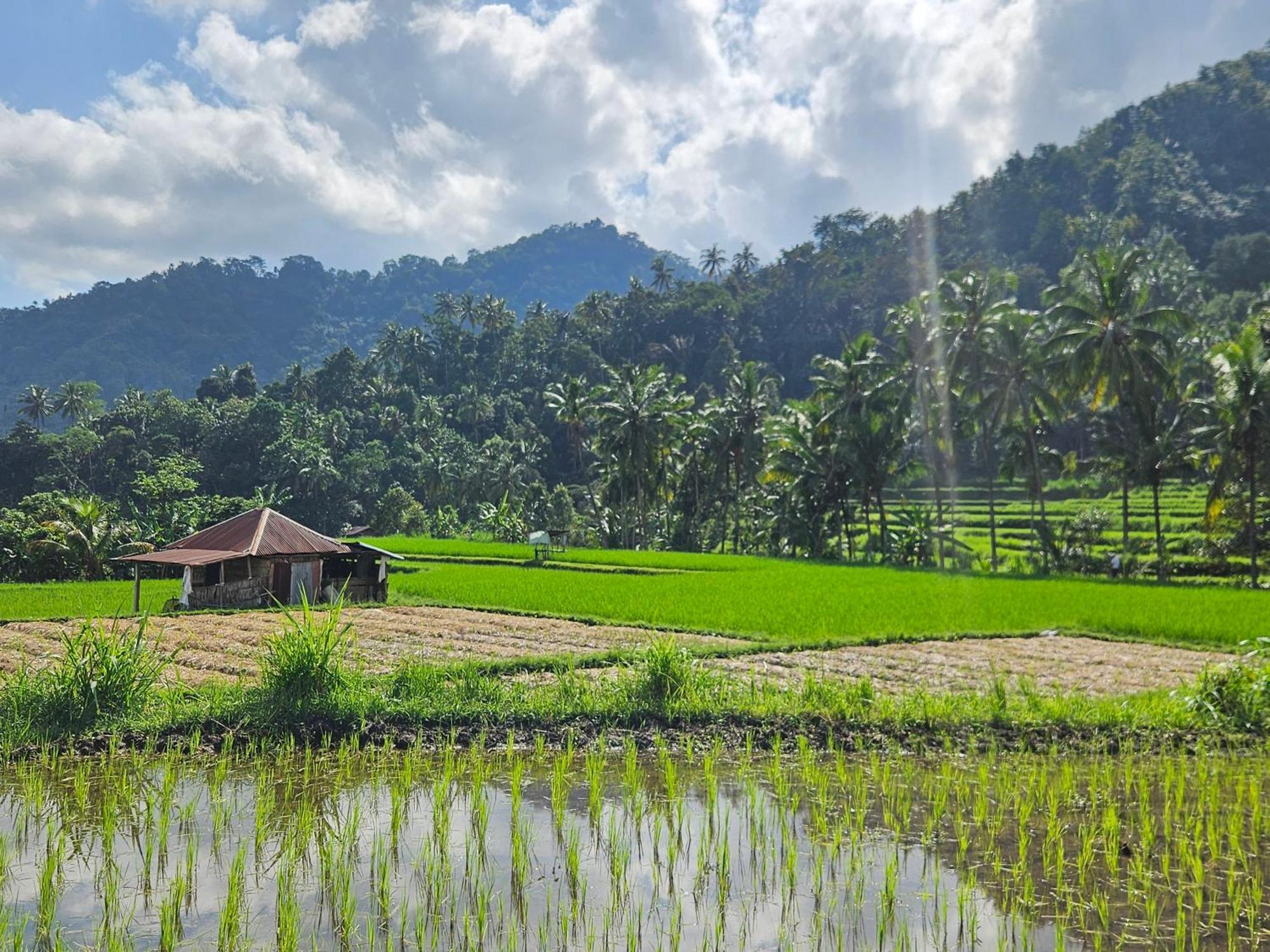 Villa Markisa Pakisan Sawan Luaran gambar